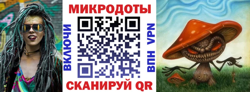 Псилоцибиновые грибы Psilocybe  Мурино 